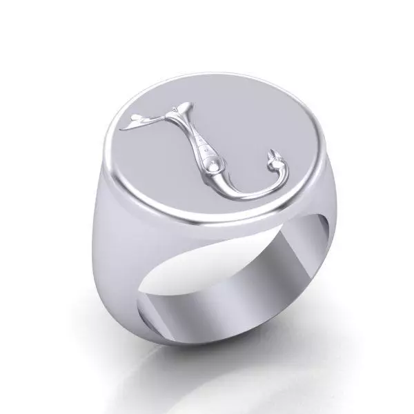 Ring trchnagir N 3D print model_0