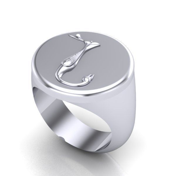 Ring trchnagir N 3D print model_21