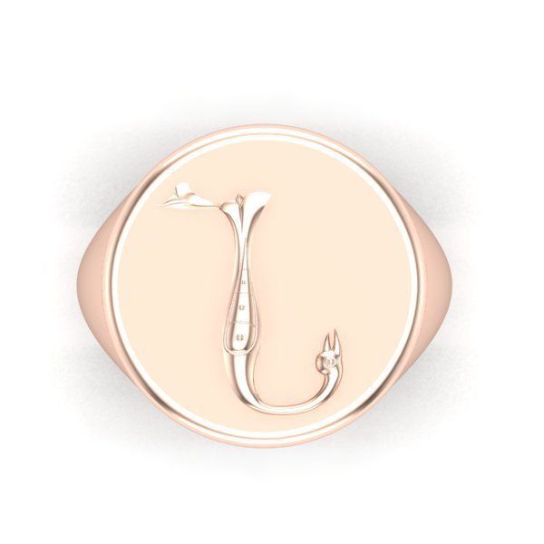 Ring trchnagir N 3D print model_25