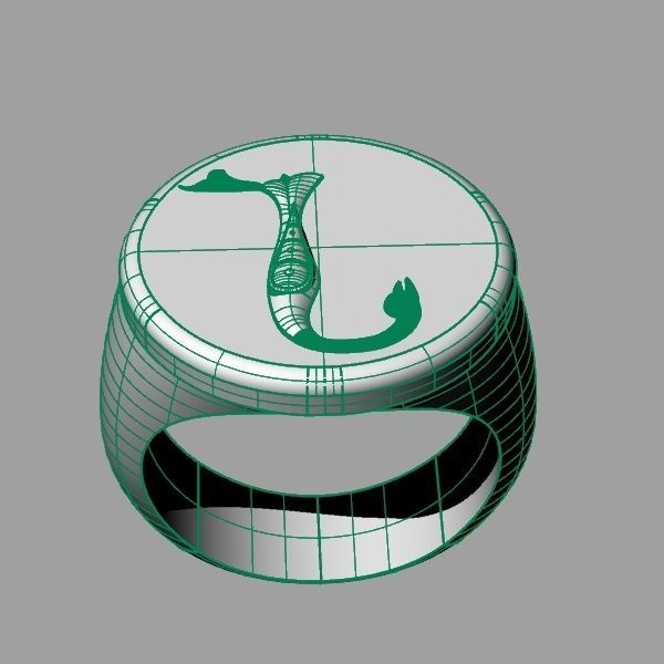 Ring trchnagir N 3D print model_15