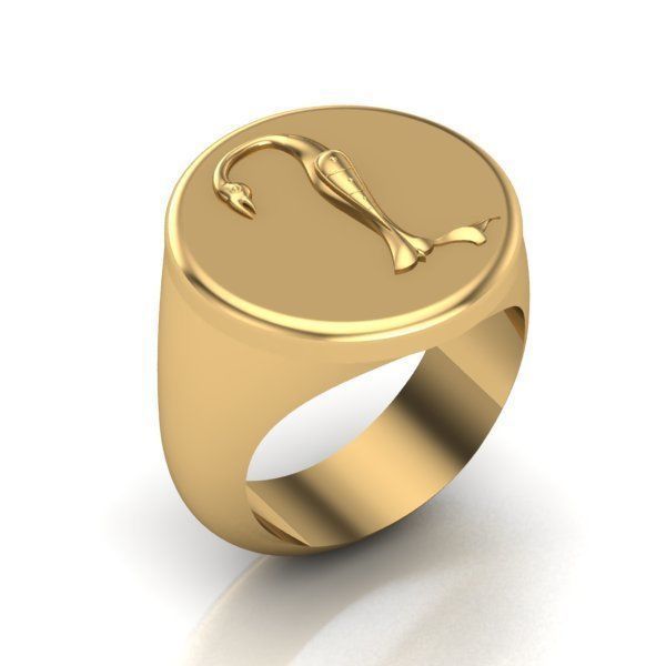 Ring trchnagir N 3D print model_18