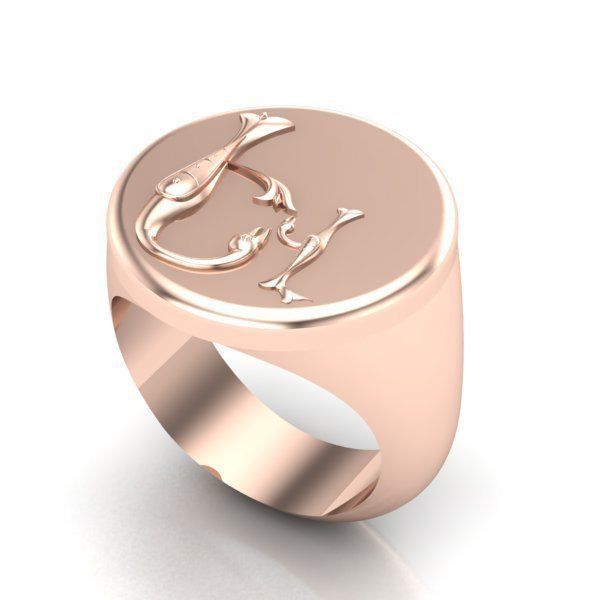 Ring trchnagir Ev 3D print model_23