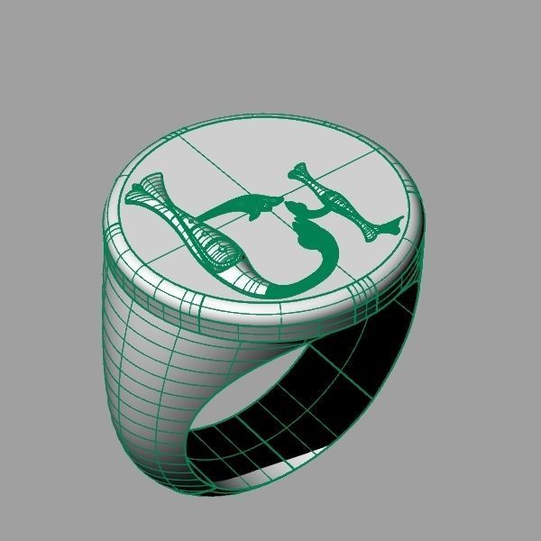 Ring trchnagir Ev 3D print model_15