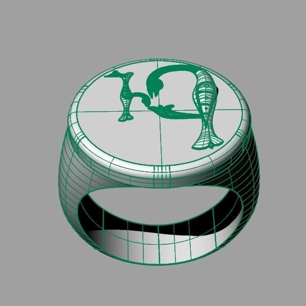Ring trchnagir Ev 3D print model_11
