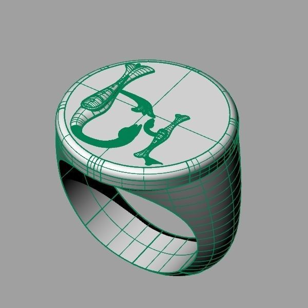 Ring trchnagir Ev 3D print model_6