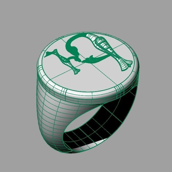 Ring trchnagir Ev 3D print model_9