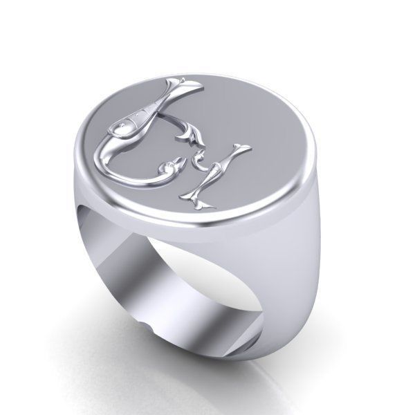 Ring trchnagir Ev 3D print model_22