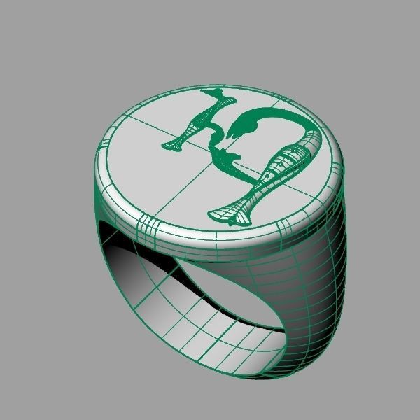 Ring trchnagir Ev 3D print model_12