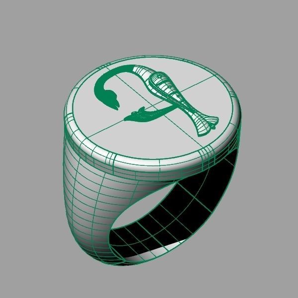 Ring trchnagir E 3D print model_9