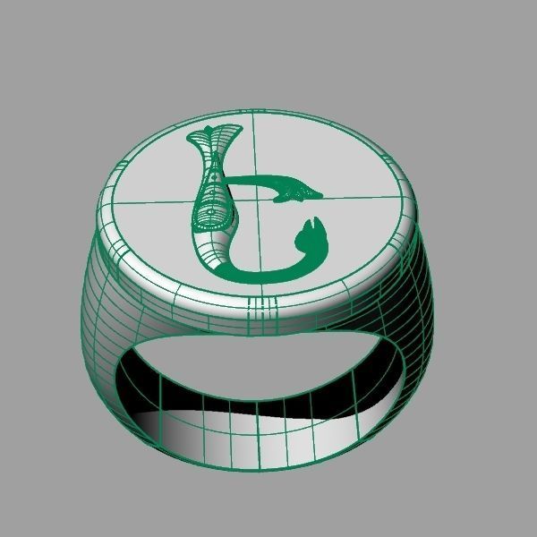Ring trchnagir E 3D print model_15