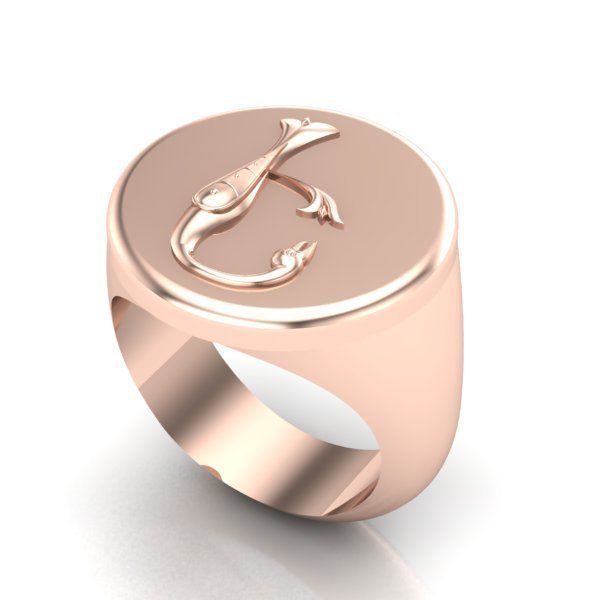 Ring trchnagir E 3D print model_22