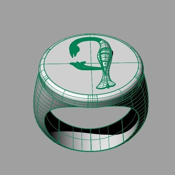 Ring trchnagir E 3D print model_10