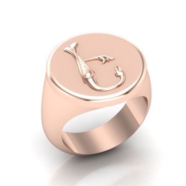 Ring trchnagir E 3D print model_19