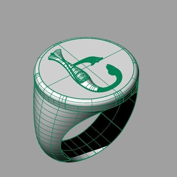 Ring trchnagir E 3D print model_14