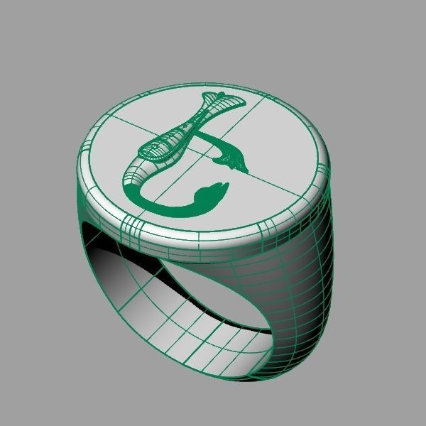 Ring trchnagir E 3D print model_6