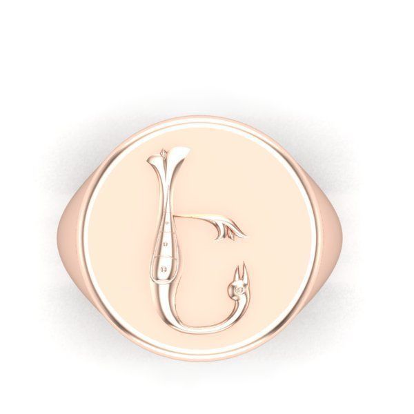 Ring trchnagir E 3D print model_25