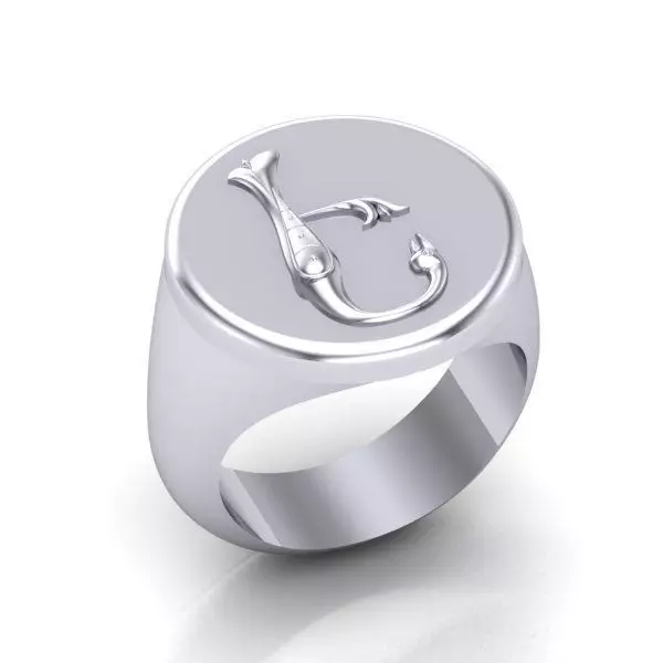 Ring trchnagir E 3D print model_0