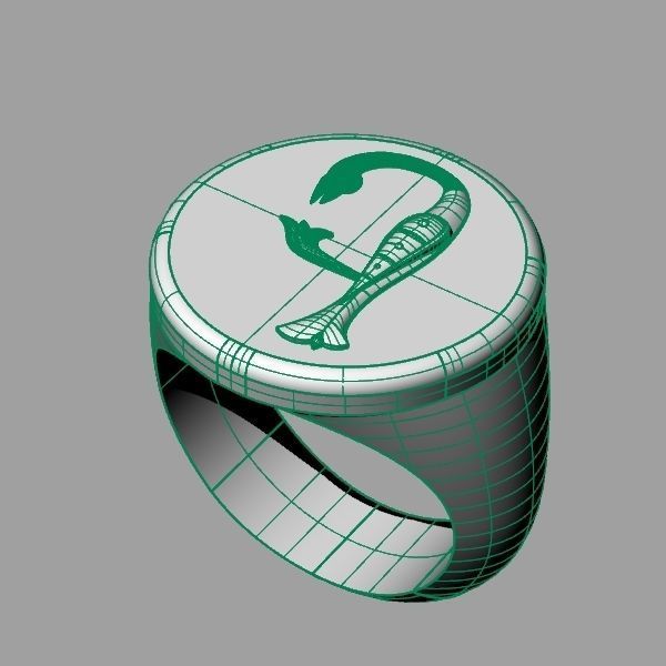 Ring trchnagir E 3D print model_11