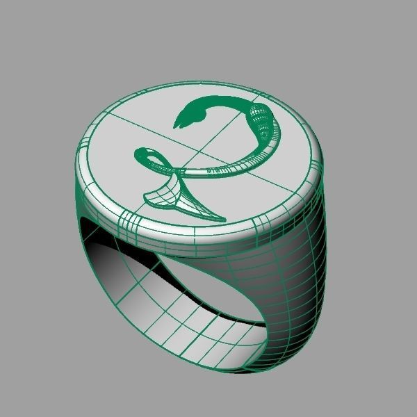 Ring trchnagir Dz 3D print model_6