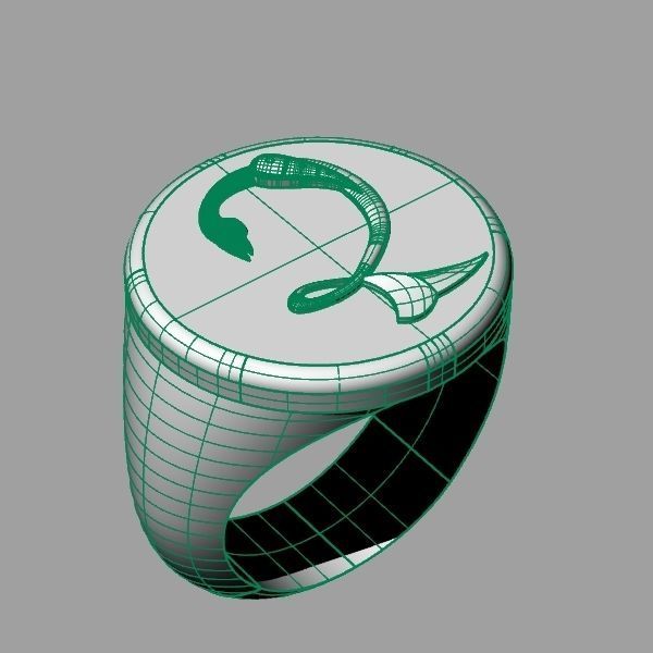 Ring trchnagir Dz 3D print model_14