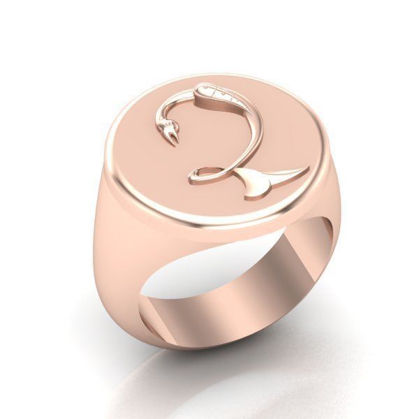 Ring trchnagir Dz 3D print model_19