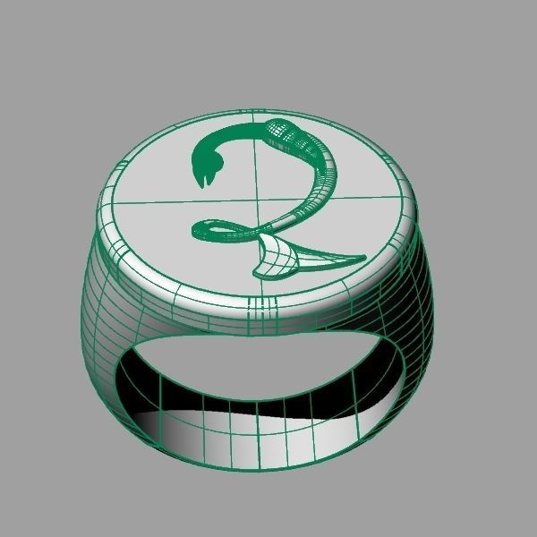 Ring trchnagir Dz 3D print model_15