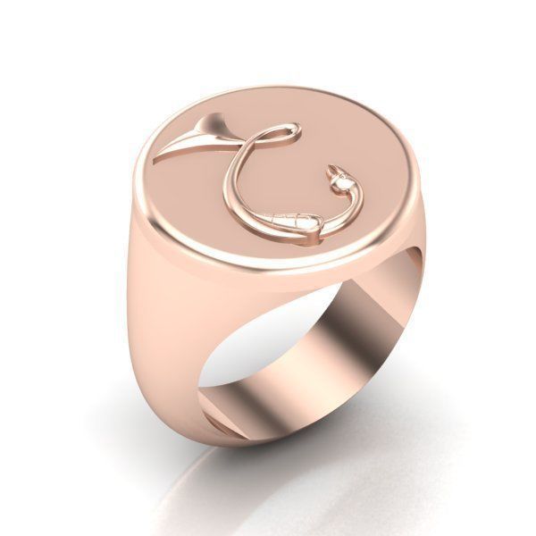 Ring trchnagir Dz 3D print model_17