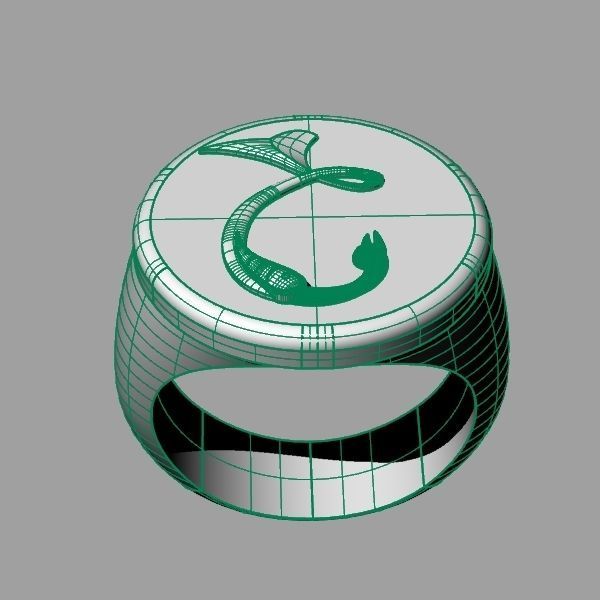 Ring trchnagir Dz 3D print model_10