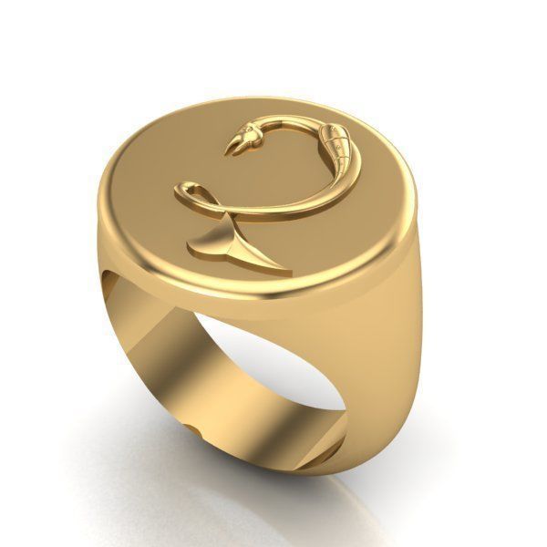 Ring trchnagir Dz 3D print model_23