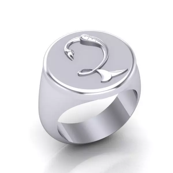 Ring trchnagir Dz 3D print model_0