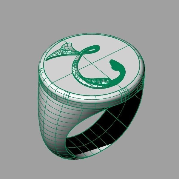 Ring trchnagir Dz 3D print model_9