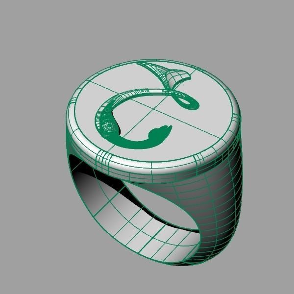 Ring trchnagir Dz 3D print model_11