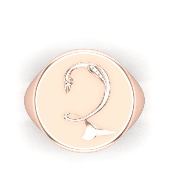 Ring trchnagir Dz 3D print model_25