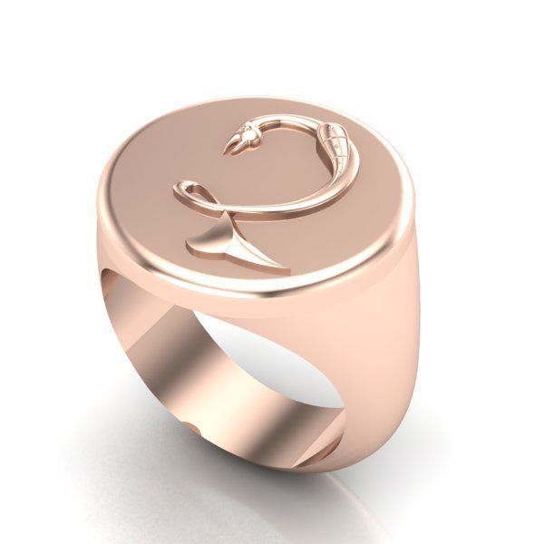 Ring trchnagir Dz 3D print model_22