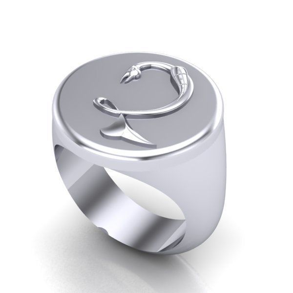 Ring trchnagir Dz 3D print model_21