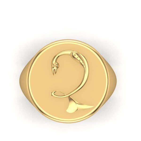 Ring trchnagir Dz 3D print model_26