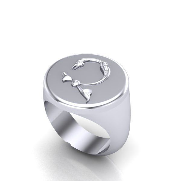 Ring trchnagir Ch 3D print model_21