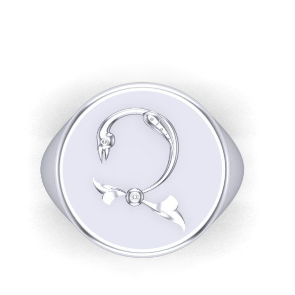 Ring trchnagir Ch 3D print model_24