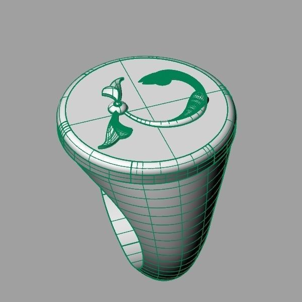 Ring trchnagir Ch 3D print model_7