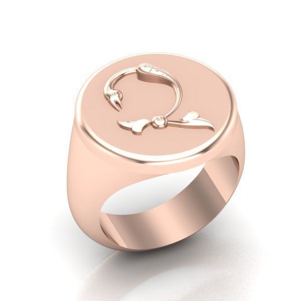 Ring trchnagir Ch 3D print model_19