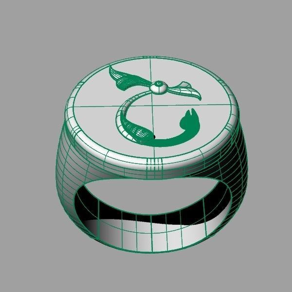Ring trchnagir Ch 3D print model_10