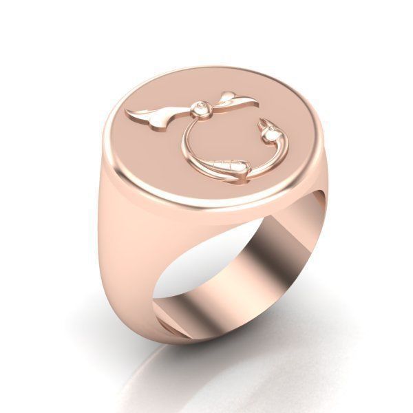 Ring trchnagir Ch 3D print model_17