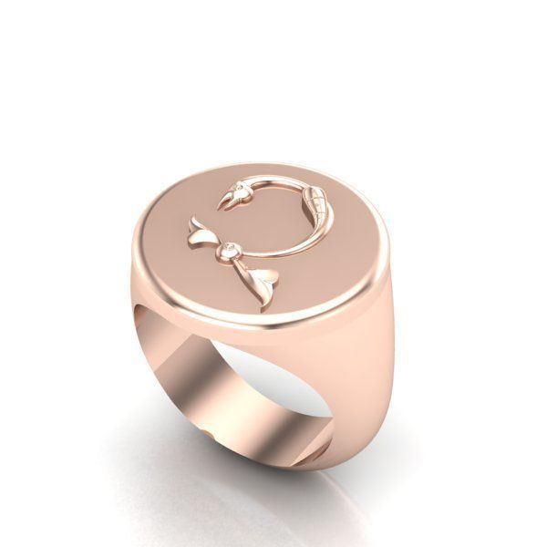 Ring trchnagir Ch 3D print model_22