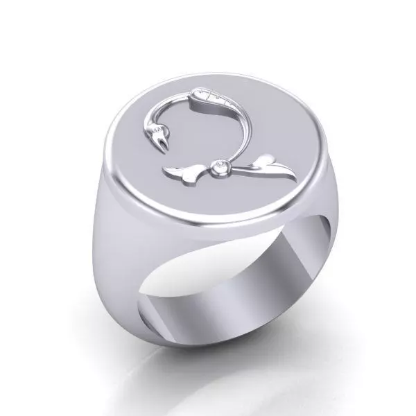 Ring trchnagir Ch 3D print model_0