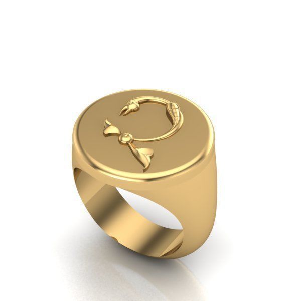 Ring trchnagir Ch 3D print model_23