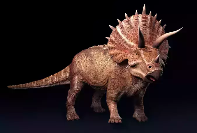 Triceratops dinosaur Low-poly 3D model