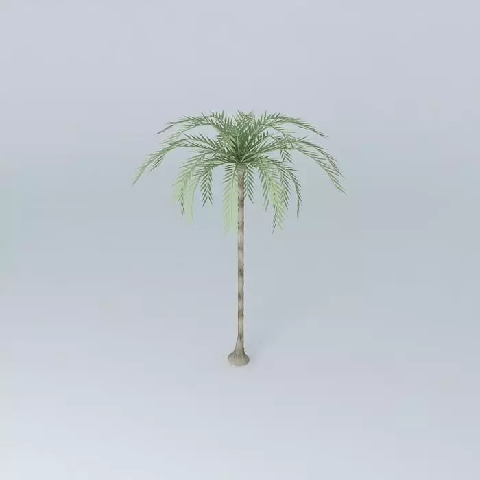 Inperial palm model Free 3D model_0