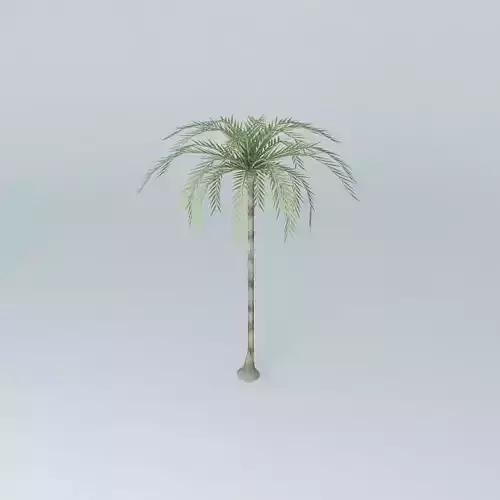 Inperial palm model
