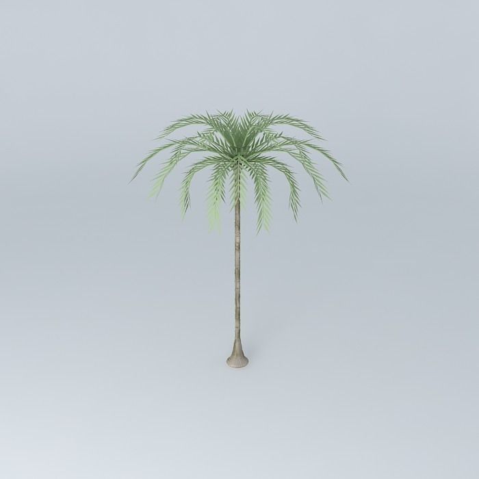 Inperial palm model Free 3D model_1
