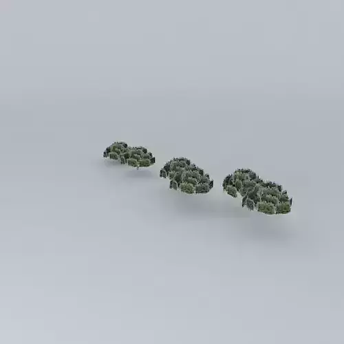 TREES IN CENTRAL SITE